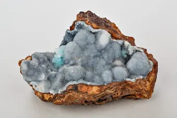 Amethyst geode interior — rockhounding and mineral collecting